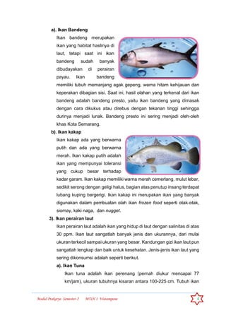 Modul Prakarya Semester-2 MTsN 1 Watampone 4
a). Ikan Bandeng
Ikan bandeng merupakan
ikan yang habitat haslinya di
laut, tetapi saat ini ikan
bandeng sudah banyak
dibudayakan di perairan
payau. Ikan bandeng
memiliki tubuh memanjang agak gepeng, warna hitam kehijauan dan
keperakan dibagian sisi. Saat ini, hasil olahan yang terkenal dari ikan
bandeng adalah bandeng presto, yaitu ikan bandeng yang dimasak
dengan cara dikukus atau direbus dengan tekanan tinggi sehingga
durinya menjadi lunak. Bandeng presto ini sering menjadi oleh-oleh
khas Kota Semarang.
b). Ikan kakap
Ikan kakap ada yang berwarna
putih dan ada yang berwarna
merah. Ikan kakap putih adalah
ikan yang mempunyai toleransi
yang cukup besar terhadap
kadar garam. Ikan kakap memiliki warna merah cemerlang, mulut lebar,
sedikit serong dengan geligi halus, bagian atas penutup insang terdapat
lubang kuping bergerigi. Ikan kakap ini merupakan ikan yang banyak
digunakan dalam pembuatan olah ikan frozen food seperti otak-otak,
siomay, kaki naga, dan nugget.
3). Ikan perairan laut
Ikan perairan laut adalah ikan yang hidup di laut dengan salinitas di atas
30 ppm. Ikan laut sangatlah banyak jenis dan ukurannya, dari mulai
ukuran terkecil sampai ukuran yang besar. Kandungan gizi ikan laut pun
sangatlah lengkap dan baik untuk kesehatan. Jenis-jenis ikan laut yang
sering dikonsumsi adalah seperti berikut.
a). Ikan Tuna
Ikan tuna adalah ikan perenang (pernah diukur mencapai 77
km/jam), ukuran tubuhnya kisaran antara 100-225 cm. Tubuh ikan
 