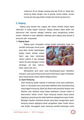 Modul Prakarya Semester-2 MTsN 1 Watampone 6
maksimum 35 cm dengan panjang rata-rata 20-25 cm. Biasa ikan
kembung diolah dengan cara di goreng, bumbu balado, bumbu
kuning dan bisa juga diolah menjadi ikan kembung tanpa duri.
2. Daging
Daging yang berasal dari unggas dan hewan berkaki empat dapat
ditemukan di setiap bagian tubuhnya. Daging tersebut dapat diolah dan
dikonsumsi oleh manusia sebagai makanan yang mengandung protein
hewani. Dibawah ini akan dijelaskan beberapa jenis daging yang banyak di
konsumsi oleh masyarakat.
1). Daging Ayam
Daging ayam merupakan sumber protein berkualitas tinggi dan
memiliki kandungan lemak jenuh
yang lebih rendah dibandingkan
daging hewan berkaki empat.
Ayam juga kaya kandungan
vitamin (vitamin A dan berbagai
vitamin B) serta beragam mineral
(tembaga, zat besi, kalsium,
fosfor, kalium dan zinc).
Berdasarkan jenis ayam yang dibudidayakan,ayam dibedakan
menjadi 2, yaitu ayam kampung dan ayam broiler/ayam negeri. Perbedaan
ayam kampung dan broiler adalah sebagai berikut.
a). Ayam Kampung
Ayam kampung adalah sebutan di Indonesia untuk ayam peliharaan.
Ayam ini merupakan jenis yang biasa dipelihara oleh penduduk/orang
yang tinggal di kampung. Biasa dip elihara oleh penduduk dengan cara
diliarkan yaitu dibiarkan lepas bebas berkeliaran mencari makan di
kebun-kebun sekitar rumah. Ayam kampung disukai orang karena
dagingnya yang kenyal dan tidak berlemak sebagaimana ayam broiler.
Berbagai masakan Indonesia banyak yang tetap menggunakan ayam
kampung karena dagingnya tahan pengolahan (tidak mudah hancur
saat diolah). Keunggulan ayam kampung memiliki kandungan nutrisi
 