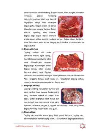 Modul Prakarya Semester-2 MTsN 1 Watampone 8
paha depan dan paha belakang. Bagian kepala, leher, tungkai, dan ekor
termasuk bagian moncong
(hidung/cingur) dan lidah juga diambil
dagingnya, tetapi tidak sebanyak
bagian paha. Bagian jeroan (isi perut)
tidak dianggap sebagai daging. Selain
direbus, digoreng, atau dibakar,
daging sapi dapat diolah menjadi
aneka ragam olahan seperti, rendang, semur, bakso, abon, dendeng,
sosis dan salami, serta kornet. Daging sapi dimakan di hampir seluruh
bagian dunia.
3). Daging Kerbau
Daging kerbau ciri khas
berwarna merah agak gelap,
memiliki tekstur serat yang lebih
kasar dibandingkan dengan
daging sapi. Kandungan lemak
daging kerbau relatif rendah
daripada daging sapi. Daging
kerbau dikonsumsi oleh sebagian besar penduduk di Asia Selatan dan
Asia Tenggara, tempat asal hewan ini. Pengolahan daging kerbau
biasanya sama dengan pengolahan daging sapi.
4). Daging Kambing
Daging kambing merupakan sumber gizi
yang penting bagi negara berkembang
yang biasanya terletak di daerah iklim
tropis. Serat dagingnya lebih halus dan
mempunyai rasa dan aroma khas yang
digemari beberapa bangsa di negara berkembang. Hasil pengolahan
daging kambing seperti sate, sop, gulai.
5). Daging Babi
Daging babi memiliki warna yang lebih pucat daripada daging sapi,
lebih mendekati warna daging ayam. Tekstur lemak daging babi elastis
 