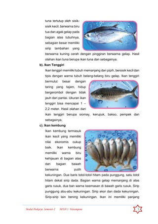Jenis ikan yang banyak digunakan dalam pembuatan olahan ikan frozen food seperti otak-otak, kaki naga dan nugget yaitu ikan …