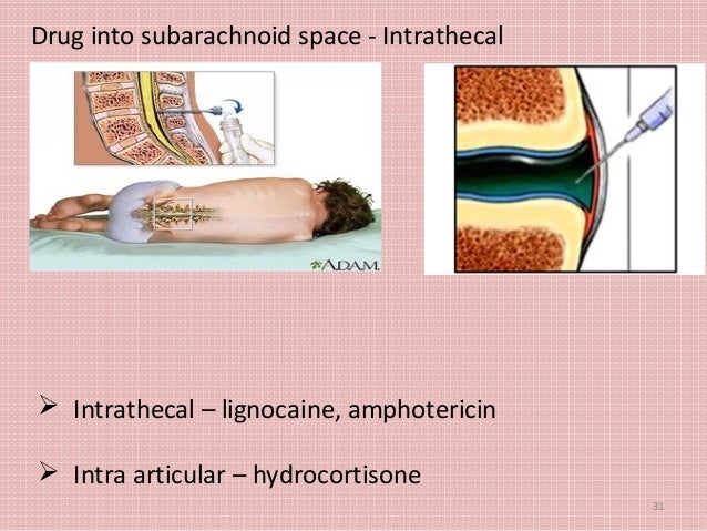 1 Introduction Route Of Administration 1 Introduction Route Of Administration