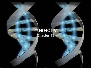 Heredity Chapter 19 