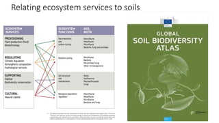Relating ecosystem services to soils
 