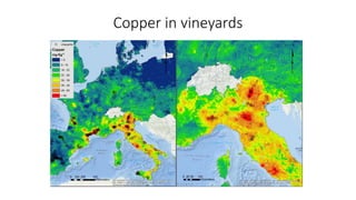 Copper in vineyards
 