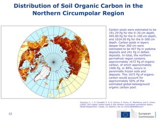 12
Distribution of Soil Organic Carbon in the
Northern Circumpolar Region
Carbon pools were estimated to be
191.29 Pg for the 0–30 cm depth,
495.80 Pg for the 0–100 cm depth,
and 1024.00 Pg for the 0–300 cm
depth. Carbon pools in layers
deeper than 300 cm were
estimated to be 407 Pg in yedoma
deposits and 241 Pg in deltaic
deposits. In total, the northern
permafrost region contains
approximately 1672 Pg of organic
carbon, of which approximately
1466 Pg, or 88%, occurs in
perennially frozen soils and
deposits. This 1672 Pg of organic
carbon would account for
approximately 50% of the
estimated global belowground
organic carbon pool.
Tarnocai, C., J. G. Canadell, E. A. G. Schuur, P. Kuhry, G. Mazhitova, and S. Zimov
(2009), Soil organic carbon pools in the northern circumpolar permafrost region,
Global Biogeochem. Cycles, 23, GB2023, doi:10.1029/2008GB003327.
 