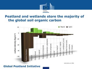 Peatland and wetlands store the majority of
the global soil organic carbon
Global Peatland Initiative
 