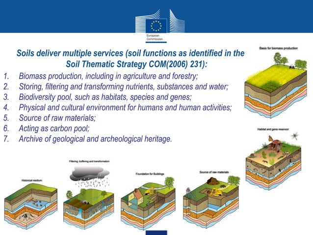 Soil Organic Carbon | PPTX