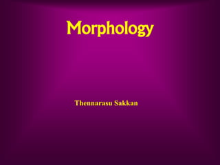 Morphology
Thennarasu Sakkan
 