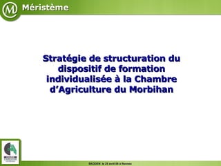 Stratégie de structuration du dispositif de formation individualisée à la Chambre d’Agriculture du Morbihan 