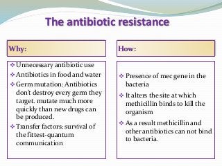 The antibiotic resistance
Why: How:
Unnecessary antibiotic use
Antibiotics in food and water
Germ mutation: Antibiotics
don’t destroy every germ they
target. mutate much more
quickly than new drugs can
be produced.
Transfer factors: survival of
the fittest-quantum
communication
Presence of mec gene in the
bacteria
It alters the site at which
methicillin binds to kill the
organism
As a result methicillin and
other antibiotics can not bind
to bacteria.
 