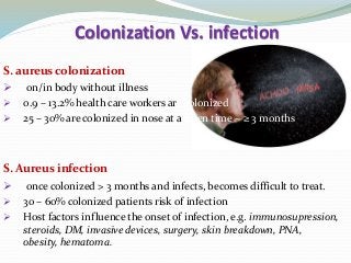 Colonization Vs. infection
S. aureus colonization
 on/in body without illness
 0.9 – 13.2% health care workers are colonized
 25 – 30% are colonized in nose at a given time ~ ≥ 3 months
S. Aureus infection
 once colonized > 3 months and infects, becomes difficult to treat.
 30 – 60% colonized patients risk of infection
 Host factors influence the onset of infection, e.g. immunosupression,
steroids, DM, invasive devices, surgery, skin breakdown, PNA,
obesity, hematoma.
 