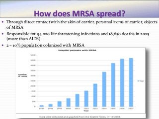How does MRSA spread?
 Through direct contact with the skin of carrier, personal items of carrier, objects
of MRSA
 Responsible for 94,000 life threatening infections and 18,650 deaths in 2005
(more than AIDS)
 2 – 10% population colonized with MRSA
 