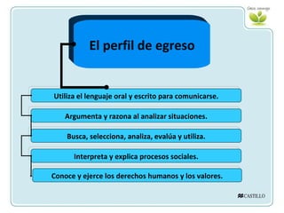 El perfil de egreso Utiliza el lenguaje oral y escrito para comunicarse. Argumenta y razona al analizar situaciones. Busca, selecciona, analiza, evalúa y utiliza. Interpreta y explica procesos sociales. Conoce y ejerce los derechos humanos y los valores. 