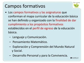 Campos formativos Los  campos formativos y las asignaturas  que conforman el mapa curricular de la educación básica se han definido y organizado con la  finalidad de dar cumplimiento a los propósitos formativos  establecidos en el  perfil de egreso  de la educación básica. Lenguaje y Comunicación. Pensamiento Matemático. Exploración y Comprensión del Mundo Natural  y Social. Desarrollo Personal y para la Convivencia. 