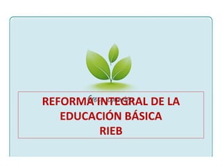 REFORMA INTEGRAL DE LA EDUCACIÓN BÁSICA RIEB 