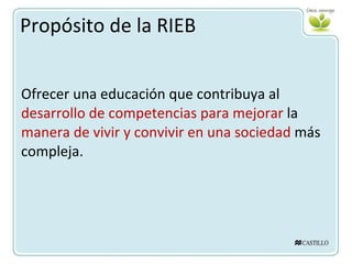 Propósito de la RIEB Ofrecer una educación que contribuya al  desarrollo de competencias para mejorar  la  manera de vivir y convivir en una sociedad  más compleja. 