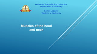 Muscles of the head
and neck
Kemerovo State Medical University
Department of Anatomy
Senior Lecturer
Vladimir V. Kazimirov
 