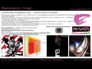 Madskippers Artists Info 2007