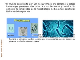 Mgtra.JazmínM.OliverosS.
• El mundo descubierto por Van Leeuwenhoek era complejo y estaba
formado por protozoos y bacterias de todas las formas y tamaños. Sin
embargo, la complejidad de la microbiología médica actual desafía los
límites de la imaginación.
• Así, en la actualidad se sabe que existen miles de diferentes tipos de
microorganismos que viven en el interior, en la superficie o alrededor del ser
humano y, asimismo, pueden contarse por centenares los que son capaces de
provocar en él enfermedades graves
 
