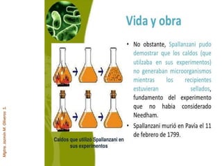 Mgtra.JazmínM.OliverosS.
 