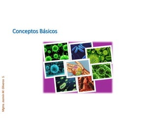 Mgtra.JazmínM.OliverosS.
Conceptos Básicos
 