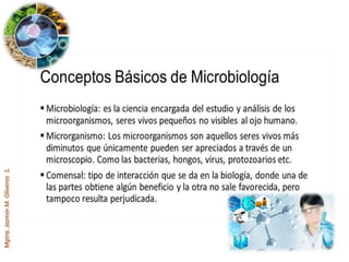 Mgtra.JazmínM.OliverosS.
 