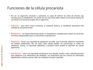 Mgtra.JazmínM.OliverosS.
Funciones de la célula procariota
• Por ser un organismo unicelular y autónomo, es capaz de fabricar las miles de enzimas que
necesita para su metabolismo. Al constar de una sola célula debe realizar las funciones básicas de
una célula y las funciones propias de un organismo.
• Protección - para tener mayor resistencia al ambiente externo, la membrana plasmática está
rodeada de una pared celular.
• Metabolismo - las células procariotas tienen un metabolismo completo para utilizar las sustancias
nutritivas indispensables para su crecimiento y reproducción.
• Adaptación - tienen una capacidad de adaptación increíble, que le permite sobrevivir resistiendo
los cambios ambientales. Por tal razón, estas células pueden ser encontradas en todos los
ambientes. Incluso, su capacidad adaptativa y evolutiva hacen posible la aparición de nuevos
organismos.
• Reproducción - tiene una capacidad reproductiva muy elevada, pueden mutar espontáneamente
para adaptarse a las alteraciones del ambiente. Las mutaciones que son nocivas son eliminadas
rápidamente, mientras que las útiles las multiplican con gran velocidad.
 