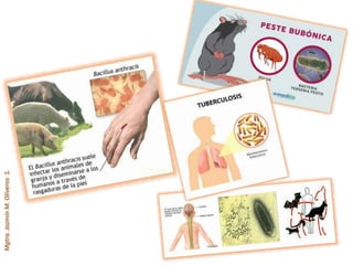 Mgtra.JazmínM.OliverosS.
 