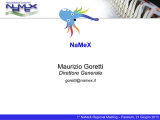 NaMeX
Maurizio Goretti
Direttore Generale
goretti@namex.it
1° NaMeX Regional Meeting – Paestum, 21 Giugno 2013
 