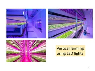 Vertical farming
using LED lights
33
 