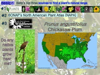 BONAP's North American Plant Atlas (NAPA)
 