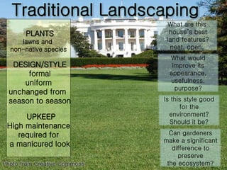 Traditional Landscaping
PLANTS
lawns and
non-native species
DESIGN/STYLE
formal
uniform
unchanged from
season to season
UPKEEP
High maintenance
required for
a manicured look
What are this
house’s best
land features?
neat, open,
Photo from Creative Commons
What would
improve its
appearance,
usefulness,
purpose?
Is this style good
for the
environment?
Should it be?
Can gardeners
make a significant
difference to
preserve
the ecosystem?
 