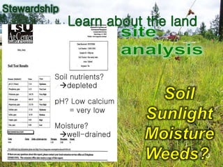 Soil nutrients?
depleted
pH? Low calcium
= very low
Moisture?
well-drained
 