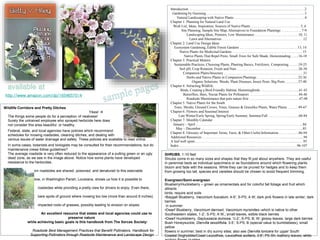 Introduction …………………………………………………………..................................……2
Gardening by Guessing …….......……………………………………………………….…......3
Natural Landscaping with Native Plants …………………………………………….……..4
Chapter 1: Planning for Natural Land Use
Wish List, Ideas, Inspiration, Sources of Native Plants …………………………….…...... 5, 6
Site Planning, Sample Site Map, Alternatives to Foundation Plantings ………….…. 7-9
Landscaping Ideas, Pointers, Low Maintenance …………………………..…...10, 11
Lawn and Alternatives …………………………………………………….…..…12
Chapter 2: Land Use Design Ideas
Ecosystem Gardening, Edible Forest Gardens …………………………………….....…13, 14
Native Plants for Medicinal Gardens ………………………………………………...…15
Native Plants That Repel Pests, Small Trees for Safe Shade, Homesteading….....16-18
Chapter 3: Practical Matters
Sustainable Practices, Choosing Plants, Planting Basics, Fertilizers, Composting….......19-25
Soil pH, Crop Rotation, Fruits and Nuts ………………………………….……....…26-30
Companion Plants/Insectary …………………………………………….….…..….…31
Herbs and Native Plants in Companion Plantings ……………………..…...….32-36
Organic Solutions: Weeds, Plant Diseases, Insect Pests, Big Pests ….….....37-40
Chapter 4: Attracting Wildlife.
Birds, Creating a Bird-Friendly Habitat, Hummingbirds …………………….....…..41-43
Butterflies, Bees, Nectar Plants for Pollinators ………………………………...…44-46
Roadside Maintenance that puts nature first ………………………………....…47-48
Chapter 5: Native Plants for the South
Trees, Shrubs, Ground Covers, Vines, Grasses & Grasslike Plants, Water Plants…...…. 49-67
Chapter 6: Flowers and Seasonal Interest
Late Winter/Early Spring, Spring/Early Summer, Summer/Fall ………………....…..68-84
Chapter 7: Monthly Calendar
January – April …………………………………………………………………..…………..84
May – December ………………………………………………………………..…………85
Chapter 8: Glossary of Important Terms, Facts, & Other.Useful.Information.………..........86-94
Additional Resources……………………………....……………………………...…................94
A leaf well spent………………………………………………………….……….................…95
Index……………………………………………………......………………………….…..96-107
http://www.amazon.com/dp/1654657514
Wildlife Corridors and Pretty Ditches
Yikes! 
The things some people do for a perception of neatness!
Surely the untrained employee who sprayed herbicide here does
not consider this area beautiful. or healthy.
Federal, state, and local agencies have policies which recommend
schedules for mowing roadsides, cleaning ditches, and dealing with
various issues of water drainage and safety. These policies are available to read online.
In some cases, botanists and biologists may be consulted for their recommendations, but do
maintenance crews follow guidelines?
The average roadside is very often reduced to the appearance of a putting green or an ugly
dead zone, as we see in the image above. Notice how some plants have developed
resistance to the herbicides.
But not all southern roadsides are shaved. poisoned, and denatured to this execrable
degree.
The roadside, below, in Washington Parish, Louisiana, shows us how it is possible to
maintain
roadsides while providing a pretty view for drivers to enjoy. Even there,
notice the
bare spots of ground where mowing too low (more than around 6 inches)
has
impacted roots of grasses, possibly leading to erosion on slopes.
An excellent resource that states and local agencies could use to
preserve nature
while achieving basic goals is this handbook from The Xerces Society:
Roadside Best Management Practices that Benefit Pollinators; Handbook for
Supporting Pollinators through Roadside Maintenance and Landscape Design
SHRUBS, 1-10 feet
Shrubs come in so many sizes and shapes that they fit just about anywhere. They are useful
in perennial beds as individual specimens or as foundations around which flowering plants
bloom and fade with the seasons. While they can be pruned for hedges and to keep them
from growing too tall, species and varieties should be chosen to avoid frequent trimming.
Evergreen/Semi-evergreen
Blueberry/Huckleberry – grown as ornamentals and for colorful fall foliage and fruit which
attracts
birds; require acid soils
•Baygall Blueberry, Vaccinium fuscatum, 4-9’; S-PS; A W; dark pink flowers in late winter; dark
berries
in summer
•Dwarf Blueberry, Vaccinium darrowii, Vaccinium myrsinites--which is native to other
Southeastern states, 1-2’; S-PS; A W,; small leaves, edible black berries
•Dwarf Huckleberry, Gaylussacia dumosa, ½-2’; S-PS; B; W; glossy leaves, large dark berries
Bush Honeysuckle, Diervilla sessilifolia, 3-5’; S-PS; B (special value to bumblebees); small
yellow
flowers in summer; best in dry sunny sites; also see Diervilla lonicera for upper South
Coastal Doghobble/Coast Leucothoe, Leucothoe axillaris, 3-6'; PS-Sh; leathery leaves; white
available at
 