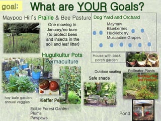 Partridge Pea
and Firebush
Maypop Hill’s Prairie & Bee Pasture
One mowing in
January/no burn
(to protect bees
and insects in the
soil and leaf litter)
Outdoor seating
hay bale garden
annual veggies
Safe shade
Pond
Dog Yard and Orchard
House with back
porch garden
Pollinator Plants
Hugulkultur Pots
Permaculture
 