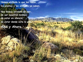 Hemos olvidado lo que las rocas,  las plantas y los animales ya saben.     Nos hemos olvidado de ser:  de ser nosotros mismos,  de estar en silencio,  de estar donde esta la vida:   Aquí y Ahora. 