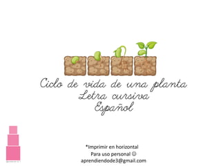 Para uso personal ☺
aprendiendode3@gmail.com
Ciclo de vida de una planta
Letra cursiva
Español
*Imprimir en horizontal
 