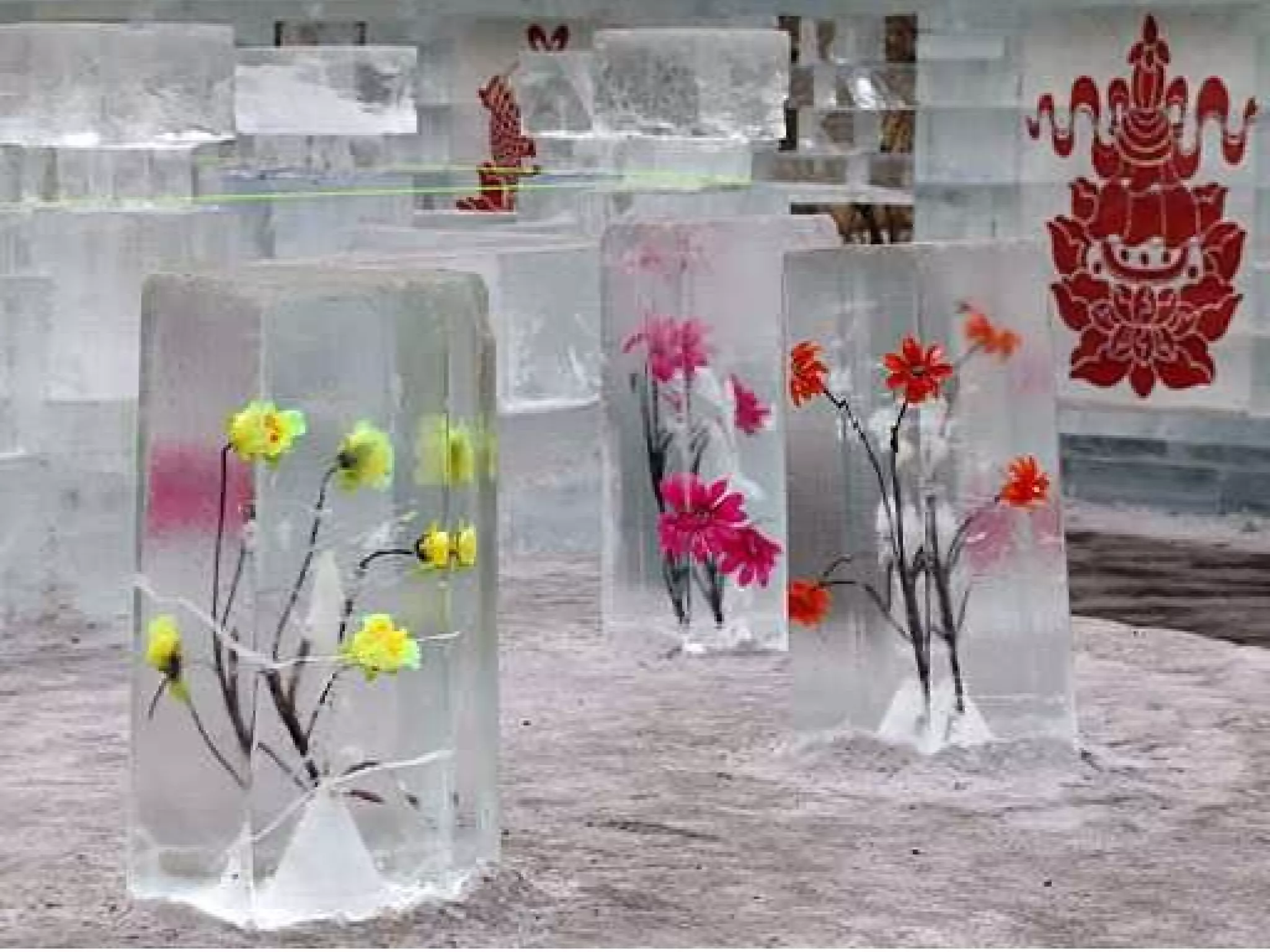 1neigeetglaceen chine