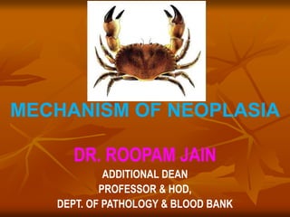 MECHANISM OF NEOPLASIA
DR. ROOPAM JAIN
ADDITIONAL DEAN
PROFESSOR & HOD,
DEPT. OF PATHOLOGY & BLOOD BANK
 