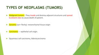 TYPES OF NEOPLASMS (TUMORS)
 Malignant tumors - They invade and destroy adjacent structures and spread
to distant sites to cause death of patient.
 Sarcoma (sar= fleshy) -mesenchymal tissue origin
 Carcinoma --- epithelial cell origin.
 Squamous cell carcinoma, Adenocarcinoma
 