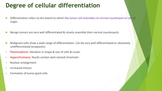 Degree of cellular differentiation
 Differentiation refers to the extent to which the tumor cell resembles its normal counterpart or cell of
origin.
 Benign tumors are very well differentiated & closely resemble their normal counterparts
 Malignant cells show a wide range of differentiation. Can be very well differentiated or absolutely
undifferentiated (anaplastic)
 Pleomorphism: Variation in shape & size of cells & nuclei
 Hyperchromasia: Nuclei contain dark stained chromatin
 Nuclear enlargement
 Increased mitosis
 Formation of tumor giant cells
 