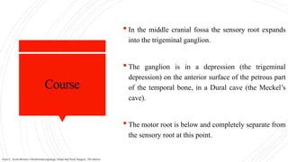 Course
 In the middle cranial fossa the sensory root expands
into the trigeminal ganglion.
 The ganglion is in a depression (the trigeminal
depression) on the anterior surface of the petrous part
of the temporal bone, in a Dural cave (the Meckel’s
cave).
 The motor root is below and completely separate from
the sensory root at this point.
Faris C. Scott-Brown’s Otorhinolaryngology, Head and Neck Surgery, 7th edition.
 