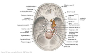 Chaurasia BD. Human anatomy. New Delhi, India: CBS Publisher; 2004.
 