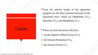 Course
 From the anterior border of the trigeminal
ganglion are the three terminal divisions of the
trigeminal nerve which are Ophthalmic (V1),
Maxillary (V2), and Mandibular (V3).
 Fibers run from the pons to the face -
1. via the Superior Orbital Fissure (V1),
2. the foramen Rotundum (V2),
3. the foramen Ovale (V3)
Chaurasia BD. Human anatomy. New Delhi, India: CBS Publisher; 2004.
 
