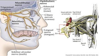 Chaurasia BD. Human anatomy. New Delhi, India: CBS Publisher; 2004.
 