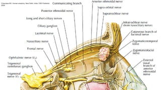 Chaurasia BD. Human anatomy. New Delhi, India: CBS Publisher;
2004.
 