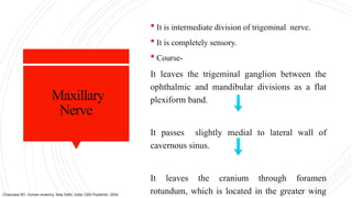 Maxillary
Nerve
 It is intermediate division of trigeminal nerve.
 It is completely sensory.
 Course-
It leaves the trigeminal ganglion between the
ophthalmic and mandibular divisions as a flat
plexiform band.
It passes slightly medial to lateral wall of
cavernous sinus.
It leaves the cranium through foramen
rotundum, which is located in the greater wing
Chaurasia BD. Human anatomy. New Delhi, India: CBS Publisher; 2004.
 