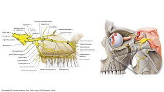 Chaurasia BD. Human anatomy. New Delhi, India: CBS Publisher; 2004.
 