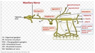 Chaurasia BD. Human anatomy. New Delhi, India: CBS Publisher; 2004.
 