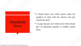 Mandibular
Nerve
 A Small motor root which passes under the
ganglion to unite with the sensory root just
outside the skull.
 A Large Sensory root which arises from lateral
part of trigeminal ganglia in middle cranial
fossa.
Chaurasia BD. Human anatomy. New Delhi, India: CBS Publisher; 2004.
 